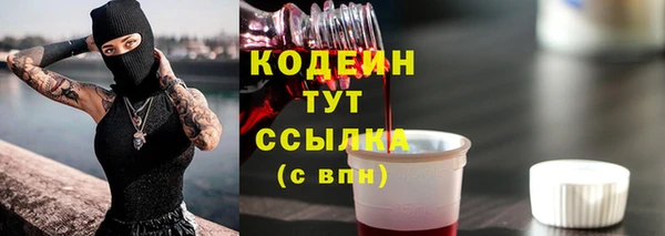 гидра Нязепетровск