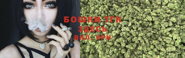 гидра Нязепетровск