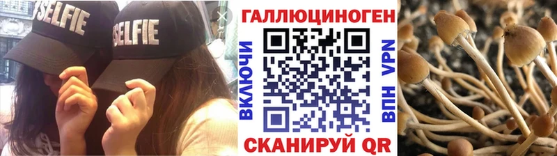 kraken рабочий сайт  Чехов  Псилоцибиновые грибы ЛСД 